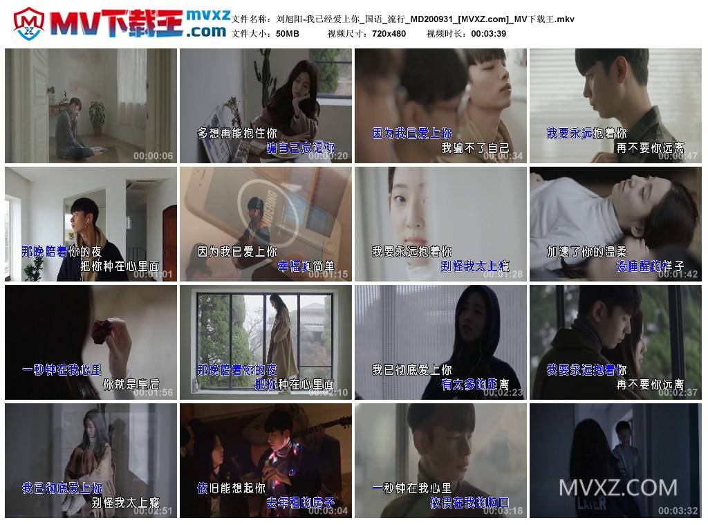 刘旭阳-我已经爱上你_国语_流行_MD200931